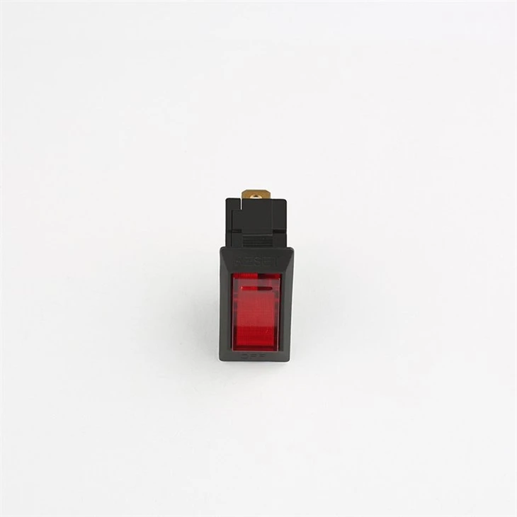 15 amp rocker switch